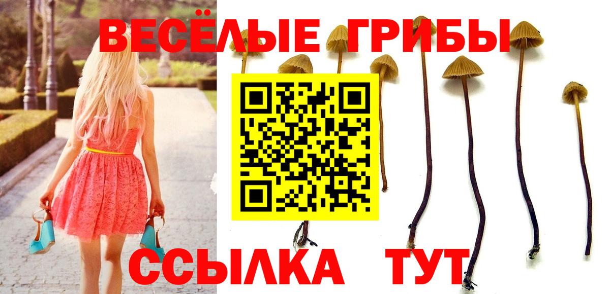 хочу наркоту  Псилоцибиновые грибы прущие грибы  Галлюциногенные грибы прущие грибы  Вход с VPN  Советский 